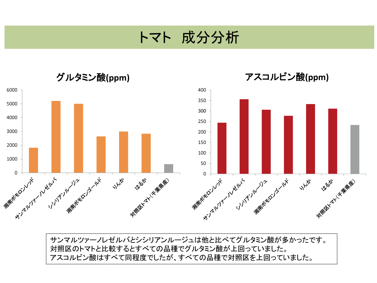 ベジアート　トマト成分分析