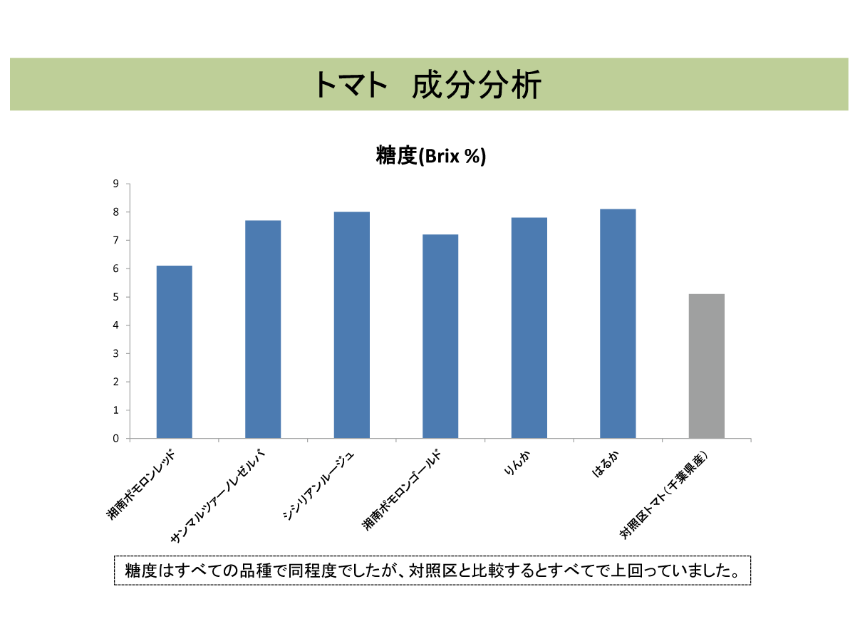 ベジアート　トマト成分分析